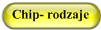Chip- rodzaje